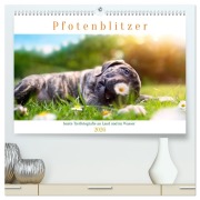 Cover-Bild zum Titel 'Pfotenblitzer bunte Tierfotografie an Land und im Wasser (hochwertiger Premium Wandkalender 2026 DIN A2 quer), Kunstdruck in Hochglanz' von 'Pfotenblitzer Tierfotografie'