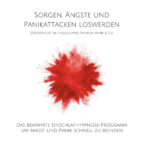 Sorgen, Ängste und Panikattacken loswerden: Soforthilfe bei Herzklopfen, Phobien, Panik & Co. - Patrick Lynen
