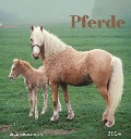 Pferde 2024 - Postkartenkalender 16x17 cm - Horses - zum Aufstellen oder Aufhängen - Monatskalendarium - Gadget - Mitbringsel - Alpha Edition - 