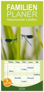 Cover-Bild zum Titel 'Familienplaner 2026 - Naturwunder Libellen mit 5 Spalten (Wandkalender, 21 x 45 cm) CALVENDO' von 'Renee Söhner - Morgensraus'
