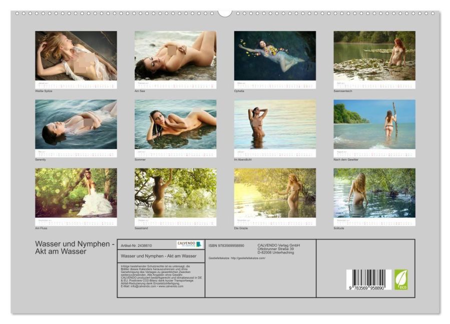 InsideView 4