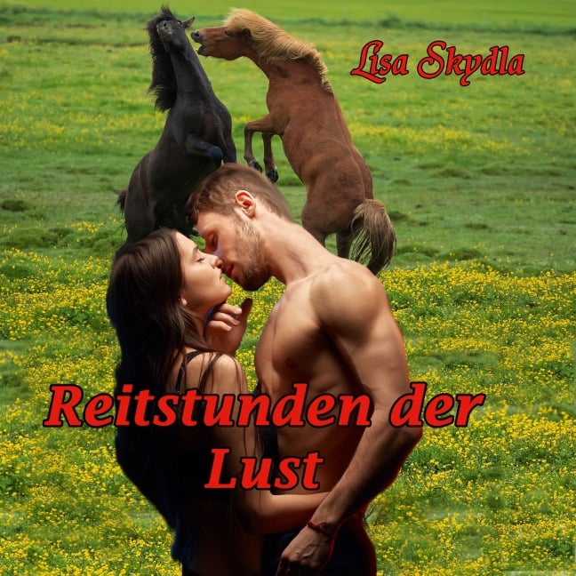 Reitstunden der Lust - Lisa Skydla