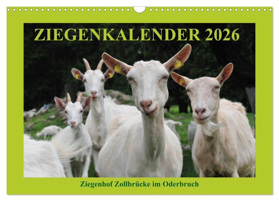 Ziegenkalender 2026 (Wandkalender 2026 DIN A3 quer), CALVENDO Monatskalender - Antje und Dietmar Püpke