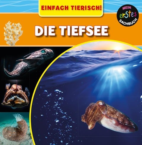 Die Tiefsee - Mary-Jane Wilkins