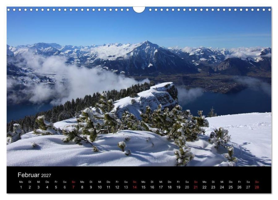 InsideView 7