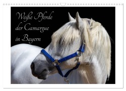 Cover-Bild zum Titel 'Weiße Pferde der Camargue in Bayern (Wandkalender 2026 DIN A3 quer), CALVENDO Monatskalender' von 'Photography Brigitte Jaritz'