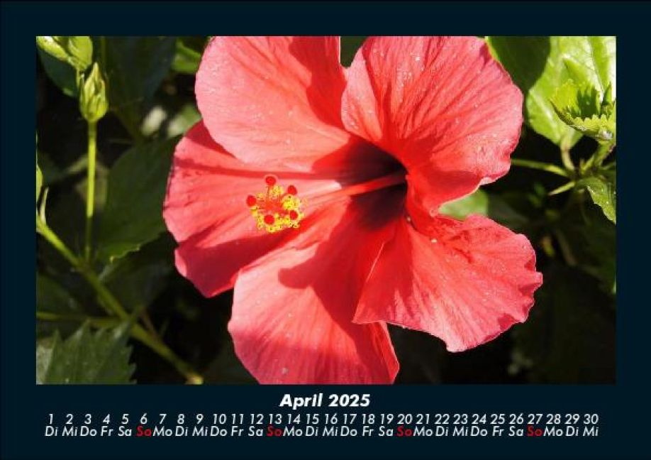 InsideView 8