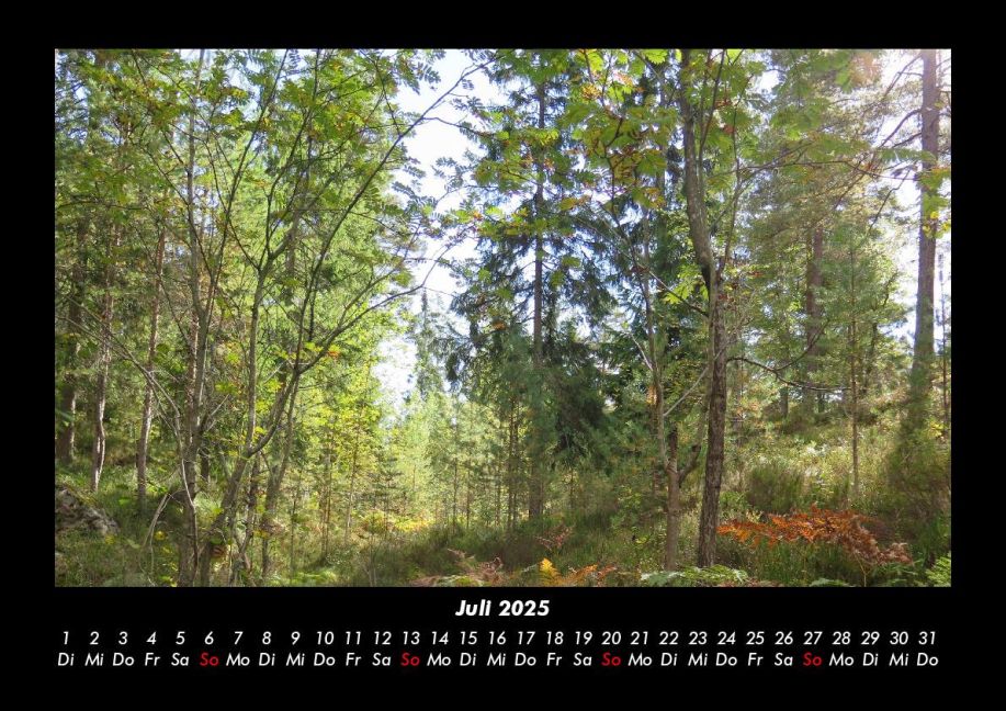 InsideView 11