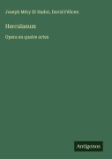 Cover-Bild zum Titel 'Herculanum' von 'Joseph Méry Et Hadot, David Félicen'