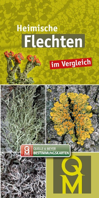 10er-Set: Heimische Flechten im Vergleich - 