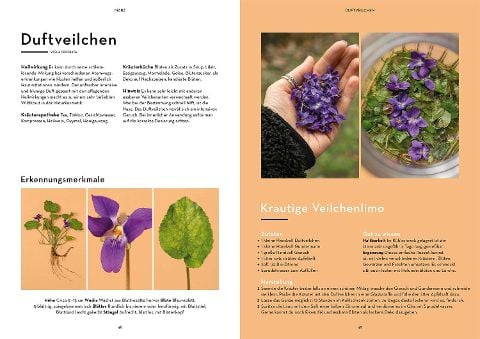 InsideView 3