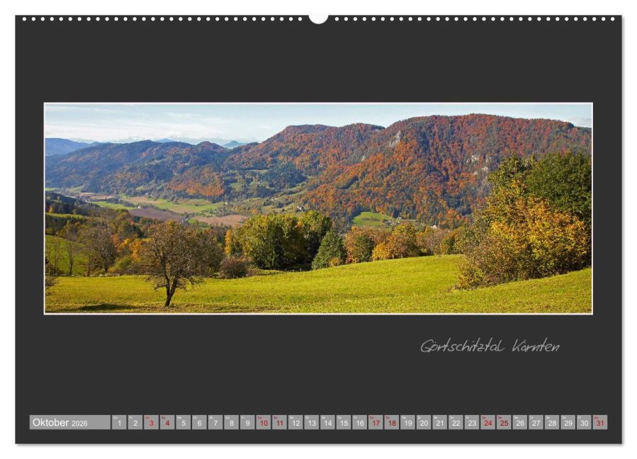 InsideView 1