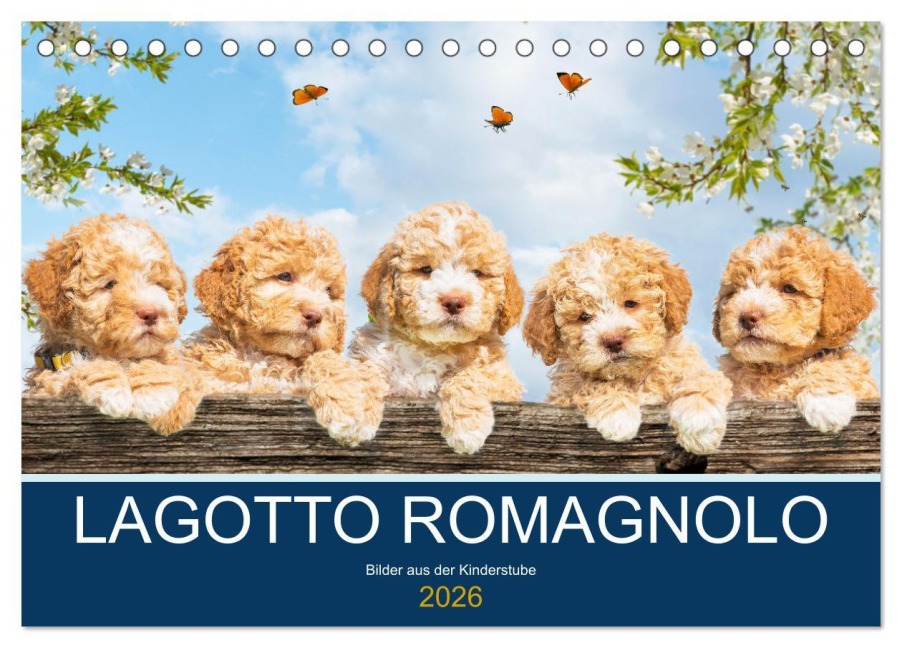 Lagotto Romagnolo - Bilder aus der Kinderstube (Tischkalender 2026 DIN A5 quer), CALVENDO Monatskalender - Sigrid Starick