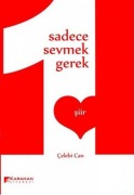 Cover-Bild zum Titel 'Sadece Sevmek Gerek' von 'Celebi Can'