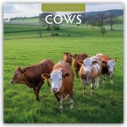 Cows - Kühe 2026 - 16-Monatskalender - Robin Red