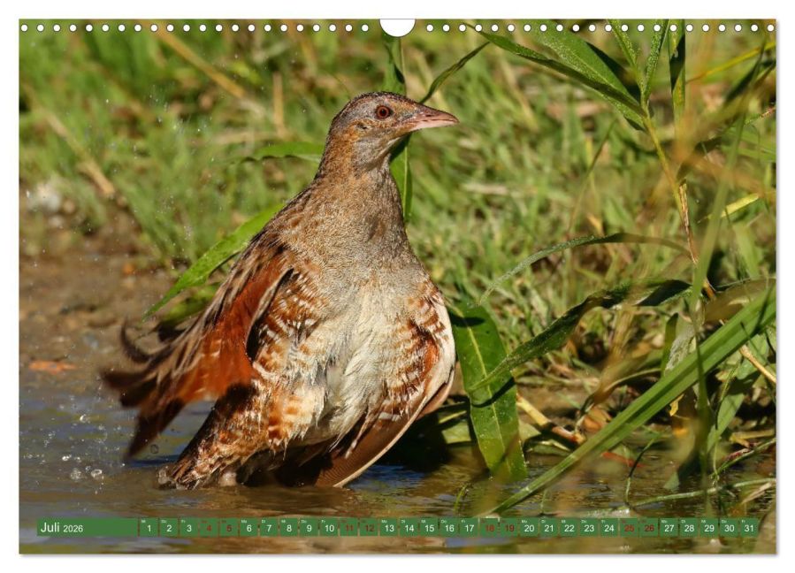 InsideView 12