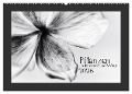 Pflanzen in Schwarz und Weiß (Wandkalender 2025 DIN A2 quer), CALVENDO Monatskalender - Kirsten Karius