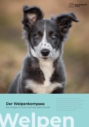 Cover-Bild zum Titel 'Der Welpenkompass' von 'Miri Styppa'