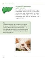 InsideView 13