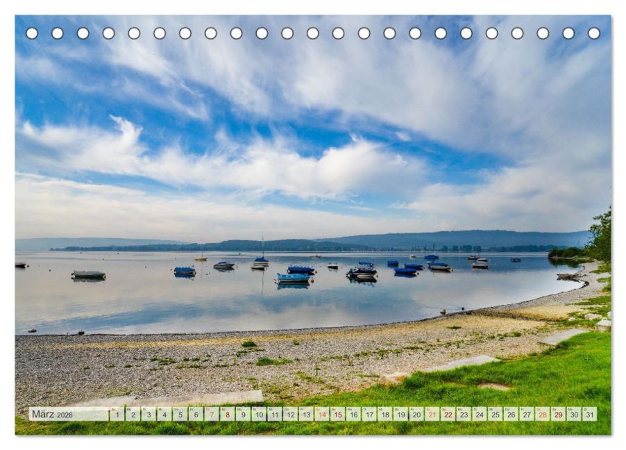 InsideView 8