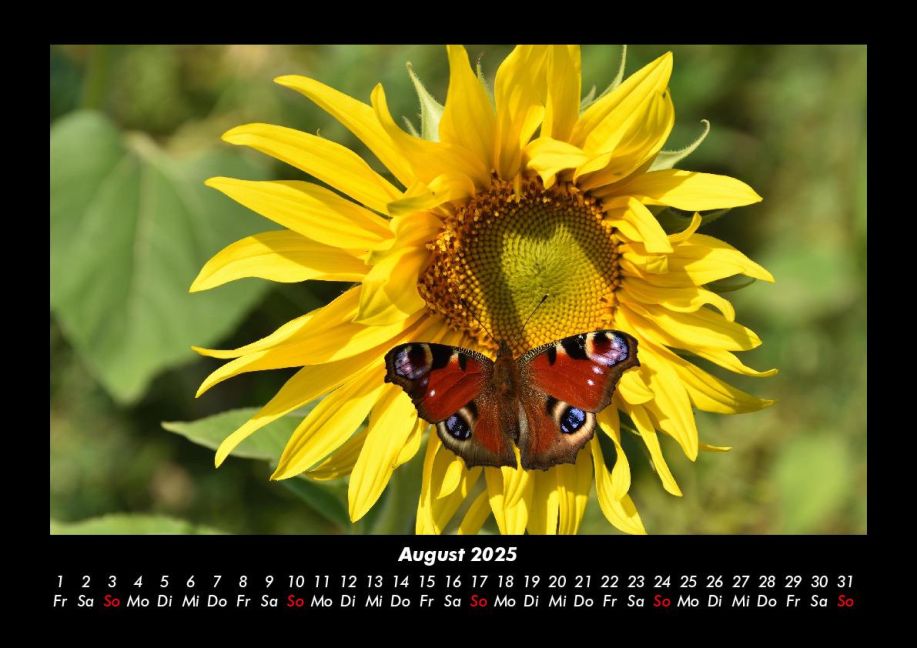 InsideView 12