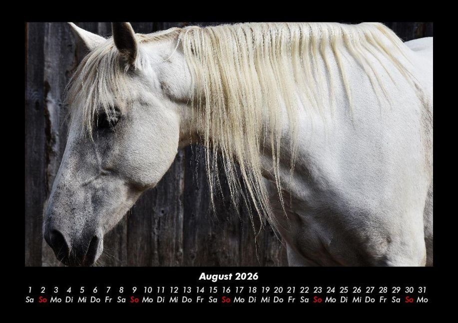 InsideView 12