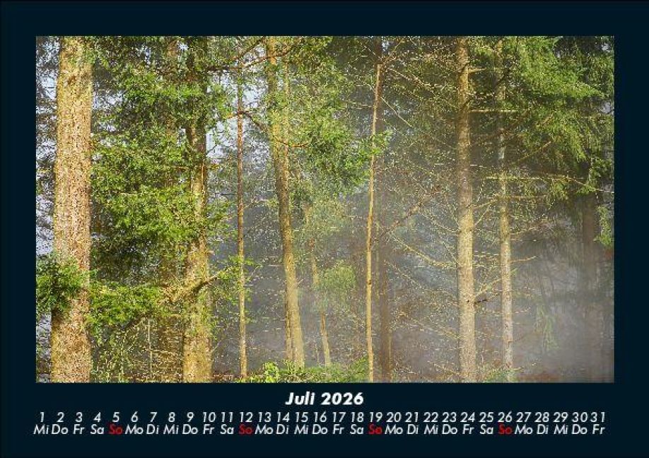 InsideView 11