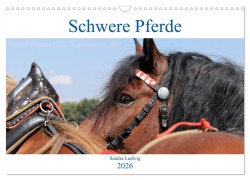 Cover-Bild zum Titel 'Schwere Pferde 2026 (Wandkalender 2026 DIN A3 quer), CALVENDO Monatskalender' von 'Sandra Ludwig'