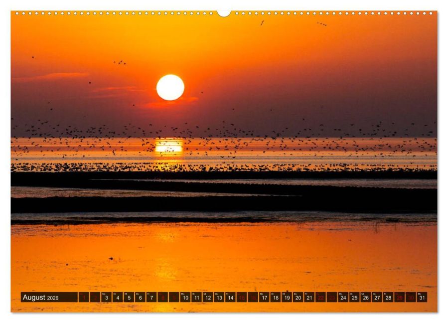 InsideView 12