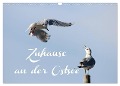 Zuhause an der Ostsee (Wandkalender 2025 DIN A3 quer), CALVENDO Monatskalender - Heike Hultsch