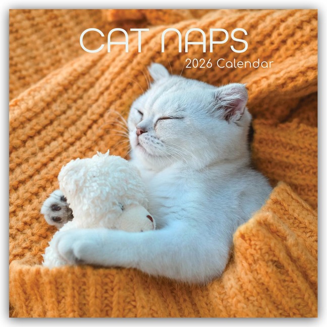 Cat Naps - Träumende Katzen 2026 - 16-Monatskalender - Gifted Stationery Co. Ltd