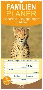 Familienplaner 2025 - Geparden - Begegnungen in Afrika mit 5 Spalten (Wandkalender, 21 x 45 cm) CALVENDO - Michael Herzog