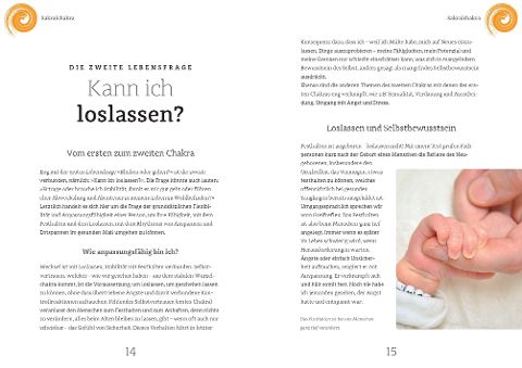 InsideView 2