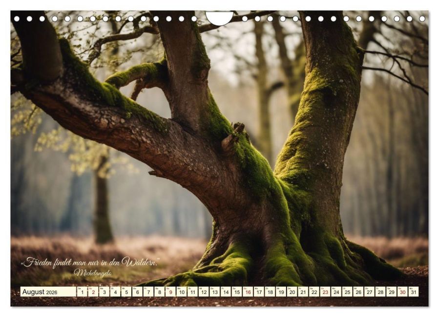 InsideView 13