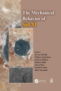 Cover-Bild zum Titel 'The Mechanical Behavior of Salt XI' von ''