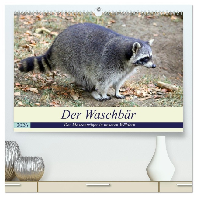 Der Waschbär - Der Maskenträger in unseren Wäldern (hochwertiger Premium Wandkalender 2026 DIN A2 quer), Kunstdruck in Hochglanz - Arno Klatt