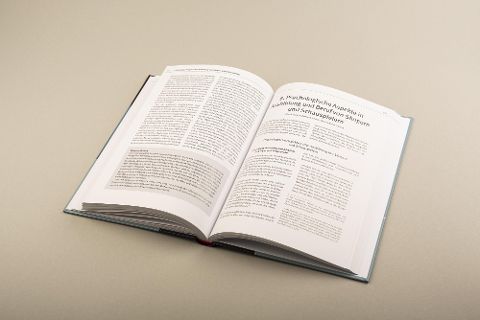 InsideView 6