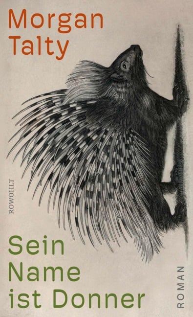 Sein Name ist Donner - Morgan Talty