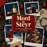 Cover-Bild zum Titel 'Mord in Steyr' von 'Max Klein'