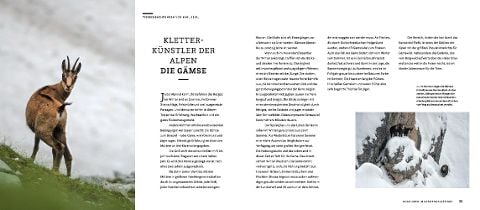 InsideView 4