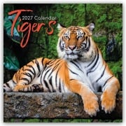 Cover-Bild zum Titel 'Tigers - Tiger 2027 - 16-Monatskalender' von 'The Gifted'