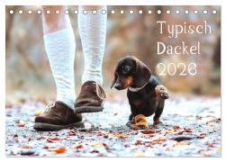 Cover-Bild zum Titel 'Typisch Dackel 2026 (Tischkalender 2026 DIN A5 quer), CALVENDO Monatskalender' von 'Anja Foto Grafia Fotografie'