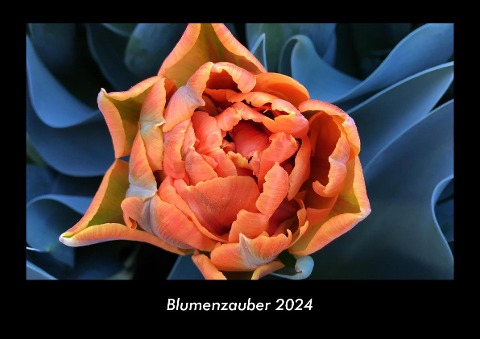 Blumenzauber 2024 Fotokalender DIN A3 - Tobias Becker