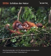 Schätze der Natur - KUNTH Postkartenkalender 2026 - 