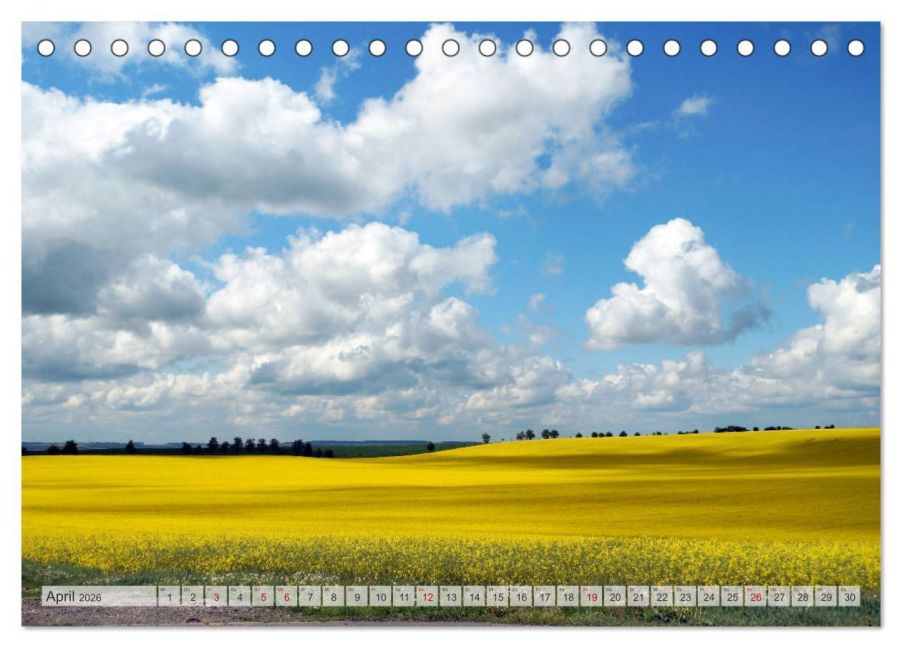 InsideView 9