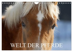 Cover-Bild zum Titel 'Welt der Pferde (Wandkalender 2026 DIN A4 quer), CALVENDO Monatskalender' von 'Sigrid Starick'