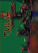 Cover-Bild zum Titel 'Tulia' von 'João Jose Gremmelmaier'