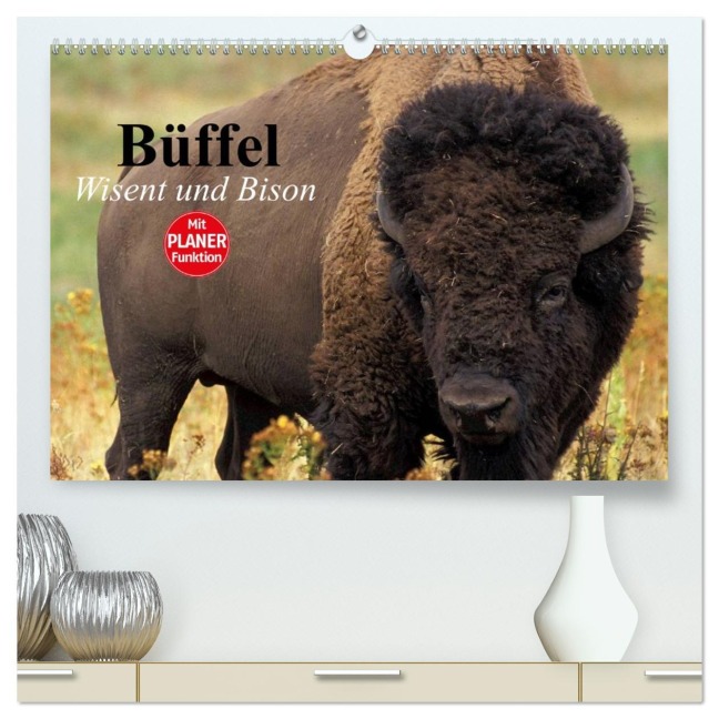 Büffel. Wisent und Bison (hochwertiger Premium Wandkalender 2026 DIN A2 quer), Kunstdruck in Hochglanz - Elisabeth Stanzer
