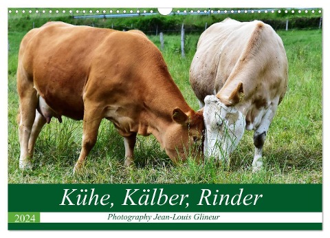 Kühe, Kälber, Rinder (Wandkalender 2024 DIN A3 quer), CALVENDO Monatskalender - Jean-Louis Glineur DeVerviers