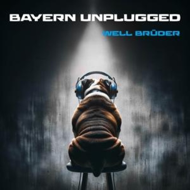 Bayern Unplugged - Well-Brüder